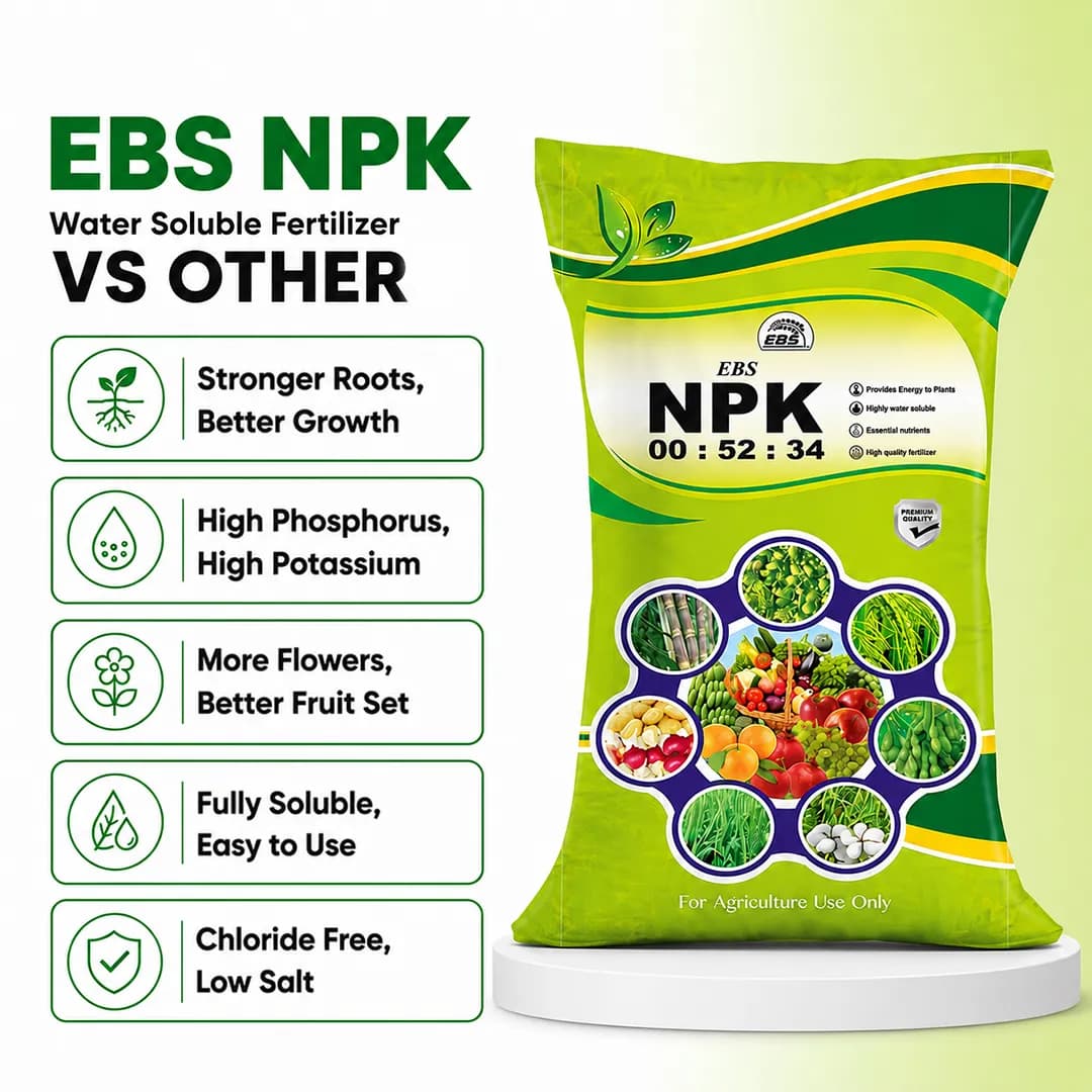 EBS NPK 0:52:34 Fertilizer - 25KG - Image 6