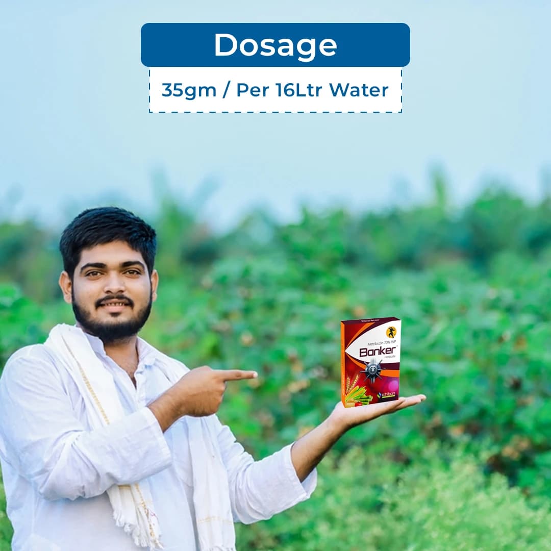 Ichiban Banker (Metribuzin 70% WP) Systemic and Contact Herbicide For Control Of Weeds - Image 5