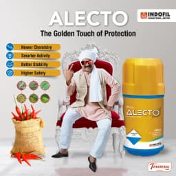 Indofil Alecto Broflanilide 20% SC Contact and Translaminar Insecticide, Control On Lepidopteran Pests 9