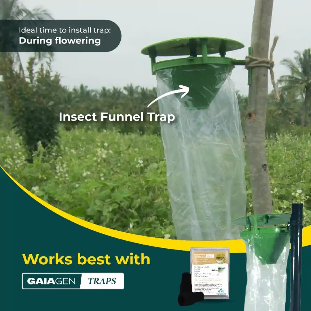 Gaiagen Pheromone Lure For American Bollworm (Helicoverpa Armigera) And Insect Funnel Traps, IMO Certified - Image 7