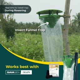 Gaiagen Pheromone Lure For American Bollworm (Helicoverpa Armigera) And Insect Funnel Traps, IMO Certified 7