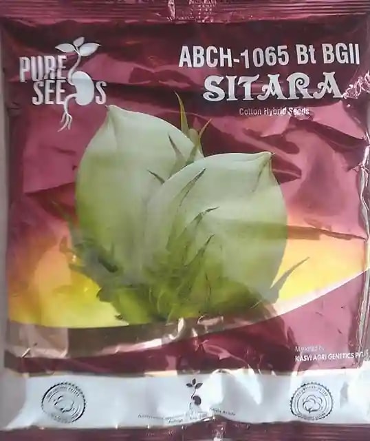 Kasvi Sitara Cotton Seeds (ABCH-1065 Bt BGII) - Whiter and Big Bolls (475 Gram)