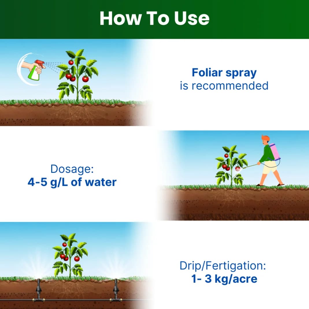 Katyayani NPK 19:19:19 100% Water Soluble Fertilizer for All Plants & Home Garden - Image 4