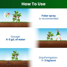 Katyayani NPK 19:19:19 100% Water Soluble Fertilizer for All Plants & Home Garden 4