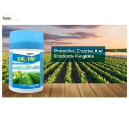 Hpm Cultivo Tebuconazole 10% + Sulphur 65% WG Contact and Systemic Fungicide 2