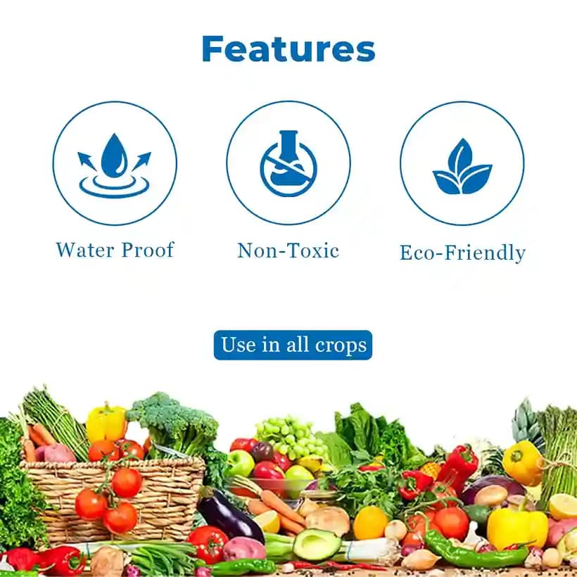 Eco Sticky Trap - A4 Size, Combo Of Yellow and Blue Sticky Trap For The Insects. - Image 5