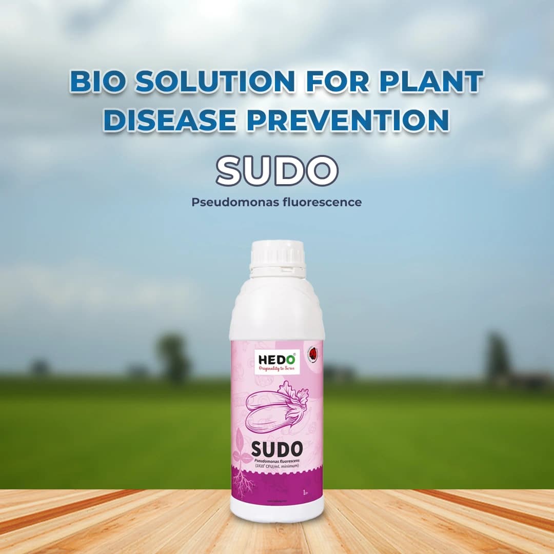 HEDO Sudo (Pseudomonas Fluorescence) Liquid Bio Fungicide, Effective Against A Wide Range Of Soil, Seed, And Air Borne Plant Diseases - Image 2