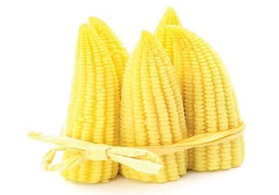 Iris Hybrid Vegetable Seeds Baby Corn, Excellent Germination And For All Seasons (15 Seeds) - Image 1