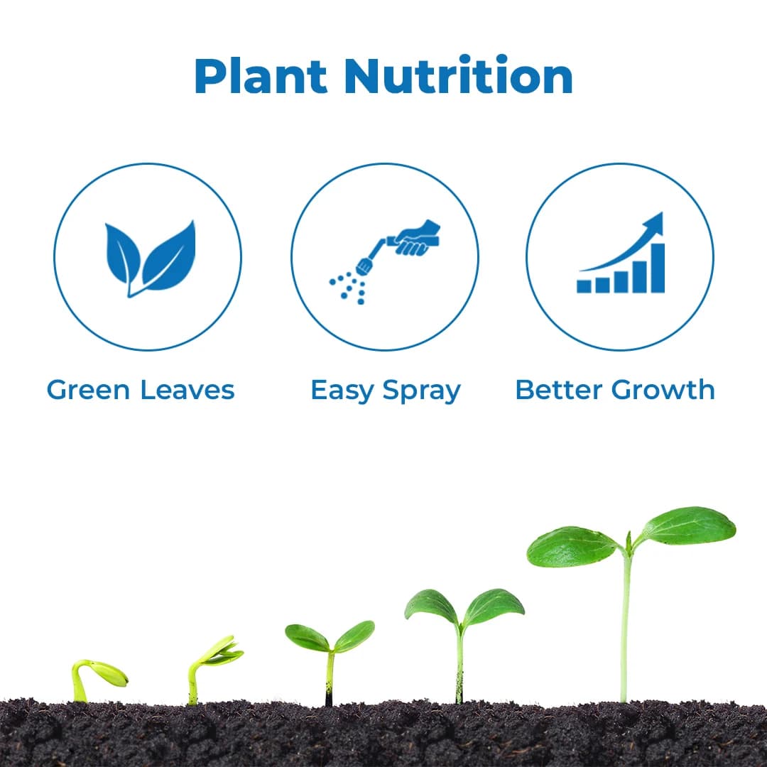 Instacheal Mg 6%, EDTA Chelated Magnesium 6%, Water Soluble, Plant Nutrition, Best For All Crops - Image 3