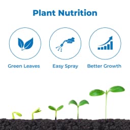 Instacheal Mg 6%, EDTA Chelated Magnesium 6%, Water Soluble, Plant Nutrition, Best For All Crops 3