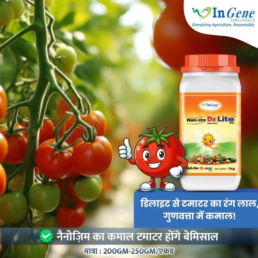 InGene Nanozim DeLite WG Bio-Stimulant, Advanced Seaweed Based For Enhanced Crop Growth And Yield - Image 2