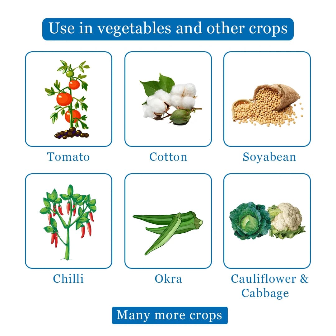 नोवाडोक - नोवालुरोन 5.25% + इंडोक्साकार्ब 4.5% एससी. ब्रॉड स्पेक्ट्रम लेपिडोप्टेरान कीटनाशक। - Image 4