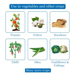 Novadok Insecticide - Novaluron 5.25% + Indoxacarb 4.5% SC 4
