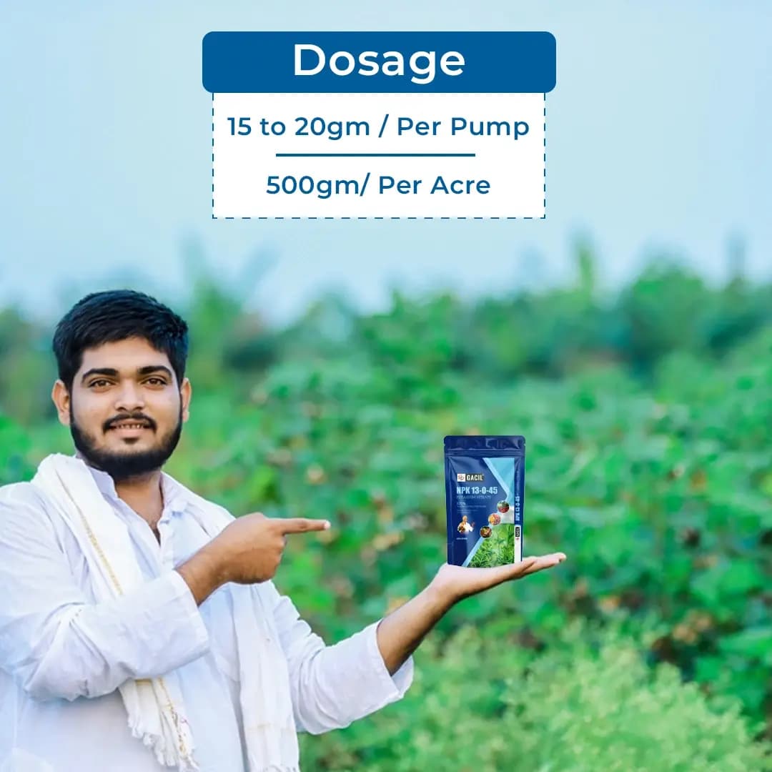 NPK 13:00:45 - Potassium Nitrate Fertilizer - Image 5