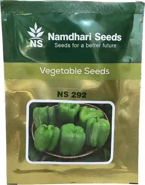 Namdhari NS 292 Capsicum Seeds, Medium Vigorous, Dark Green Color, Blocky Shape - Image 2