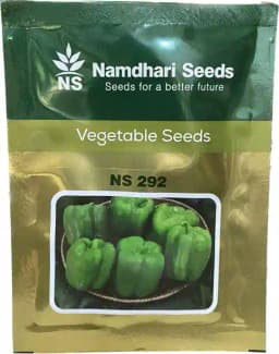 Namdhari NS 292 Capsicum Seeds, Medium Vigorous, Dark Green Color, Blocky Shape 2