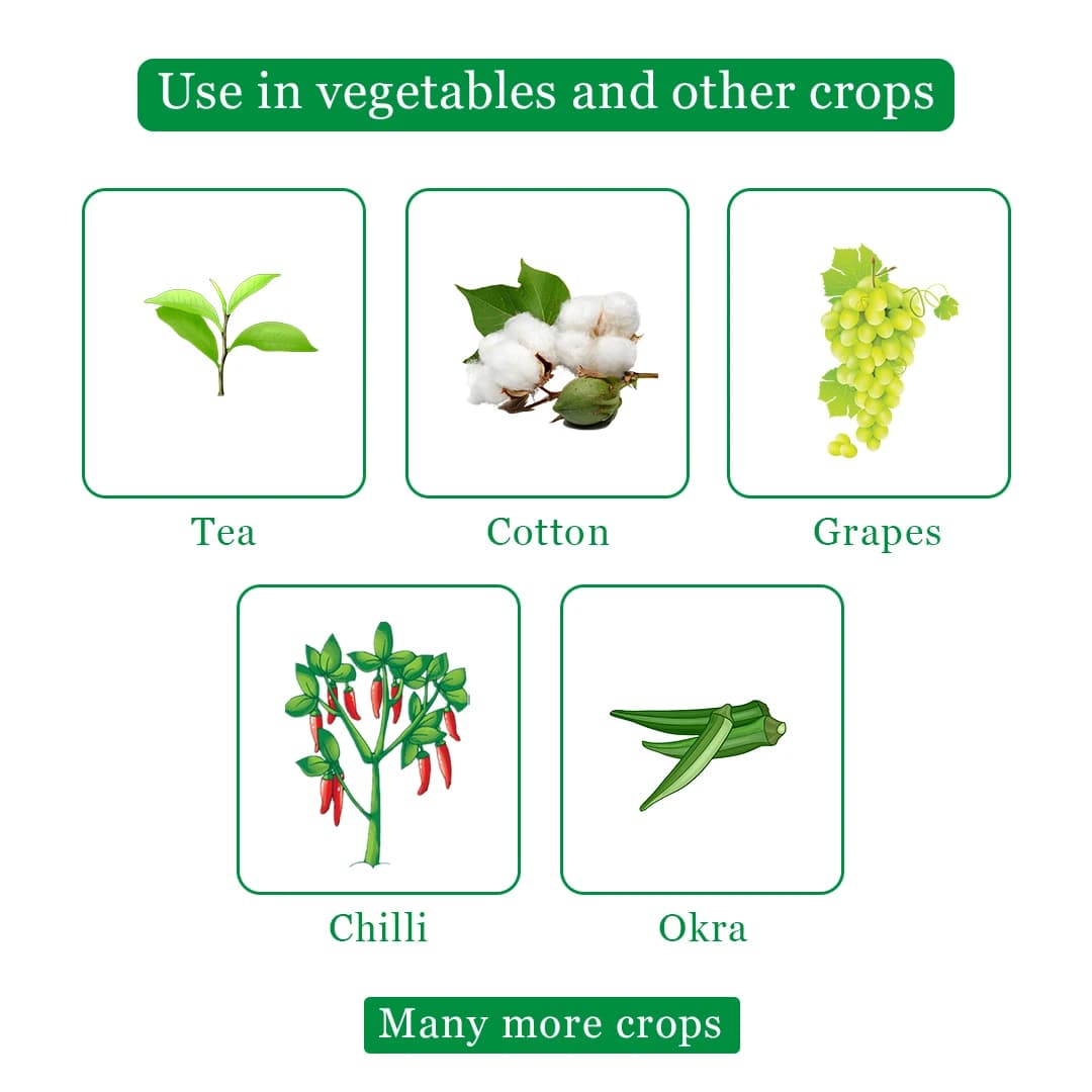 Krishigiri NEEMARA Azadirachtin 5% Insecticide, Neem Extract Concentrate 50000 PPM, Effective For Aphids, Whitefly, Pod Borer And Leafhoppers In Crops - Image 4