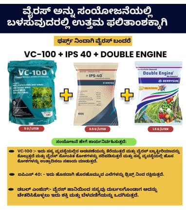 VC-100 IPS Combo Green for 100 Ltr Spray. Best Control on Virus in Chilli & Capsicum. Not Applicable with Fungicides - Image 4