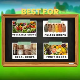 Katyayani KMYCIN Antibiotic Chemical Bacterial Fungicide, Effective Bacterial Disease Control, Preventive & Curative Foliar Spray 3