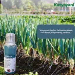 Katyayani Oxyfen Oxyflurofen 23.5% EC Pre And Post Emergence Herbicide Control Broad Leafy Weeds 3