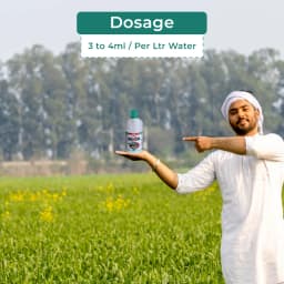 BACF Mixon Mix Micronutrient , Provides Plant Nutrition In a Wide Variety of Agriculture, Horticulture, and Ornamental Crops 5