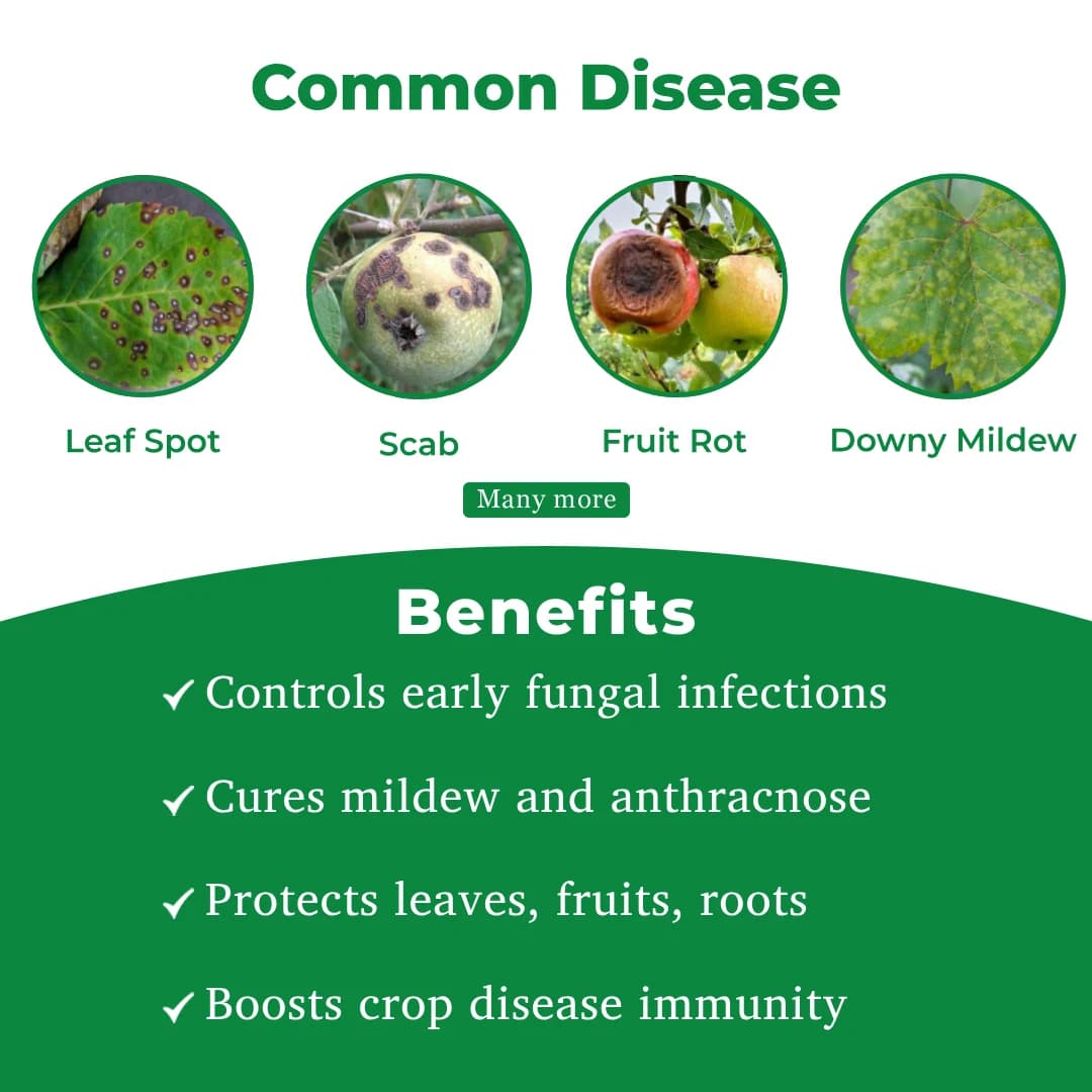 Bayer Luna Experience Fungicide - Image 3