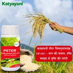 Katyayani Peter Thifluzamide 24% SC Fungicide, Effective Disease Control and Crop Protection 3