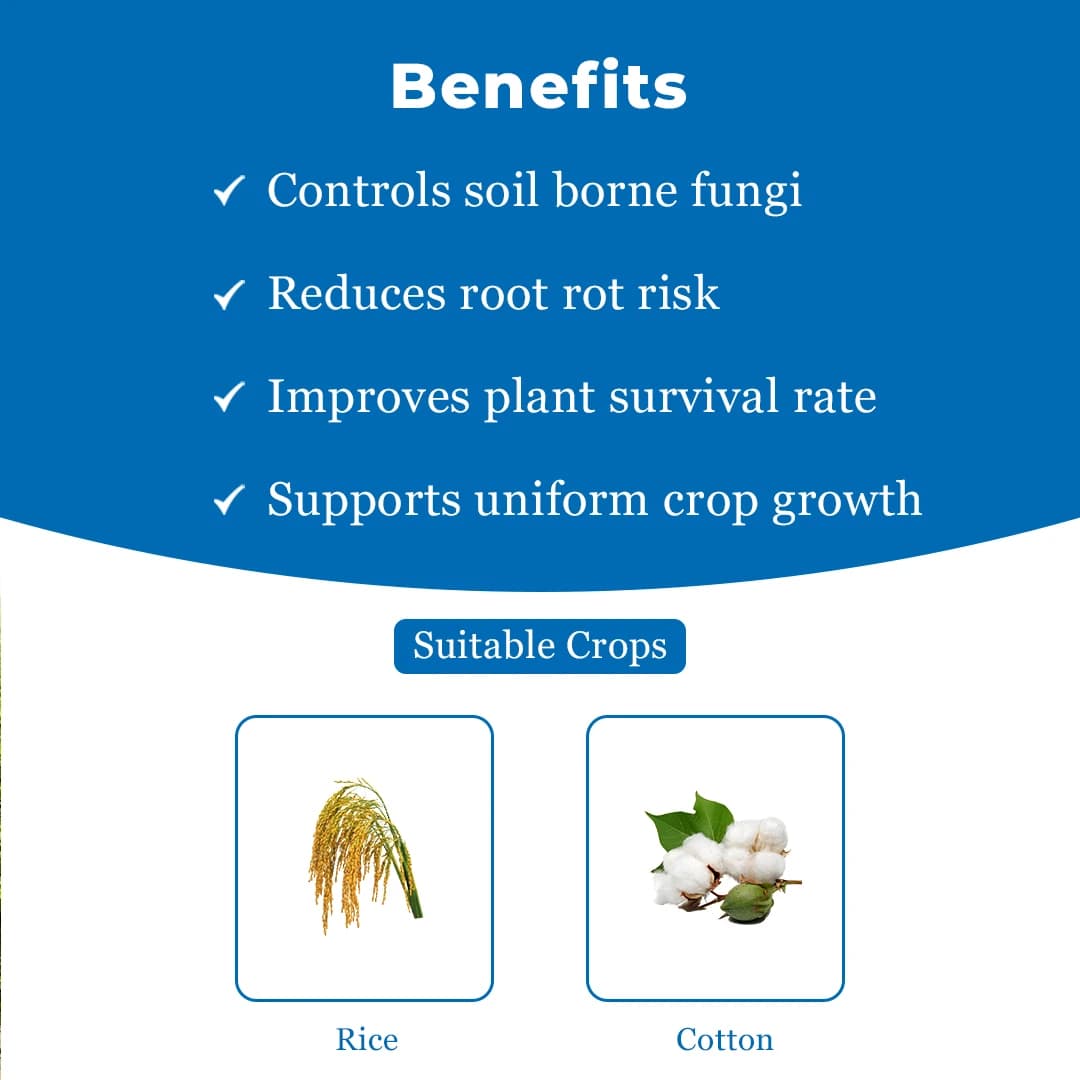 EBS Fungi-5X Hexaconazole 5% SC Fungicide, Used To Control Powdery Mildew And Sheath Blight - Image 4