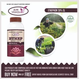Agriventure ETHEP Ethephon 39% SL Plant Growth Promoters, Effective For Fruit And Vegetable Crops 5