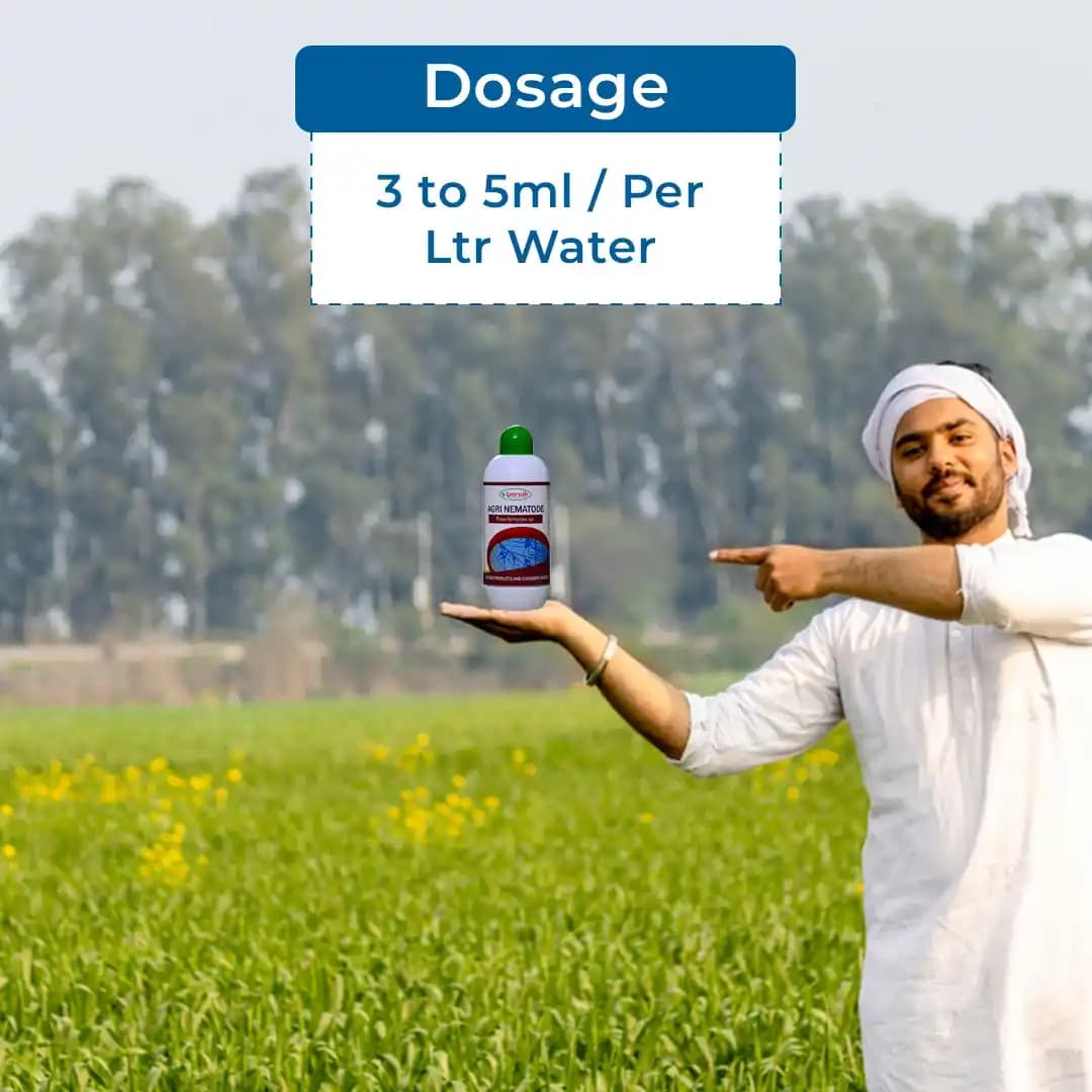Amruth AGRI NEMATODE (Paecilomyces Lilacinus), 5 X 7 cfu-gm, 108 cfu-ml., Nematodes Pests. - Image 5