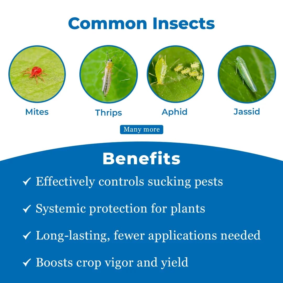 Rain Mida Extra - Imidacloprid 30.5% SC Insecticide, Best Use Against Aphids, Whiteflies, Jassids, Thrips, Brown Plant Hopper, Green Leaf, Psylla - Image 3