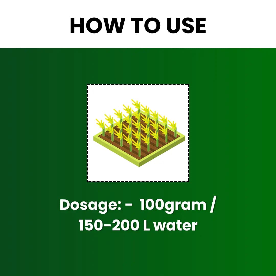 Katyayani Zinc - Chelated Micronutrient Fertilizer - Image 5