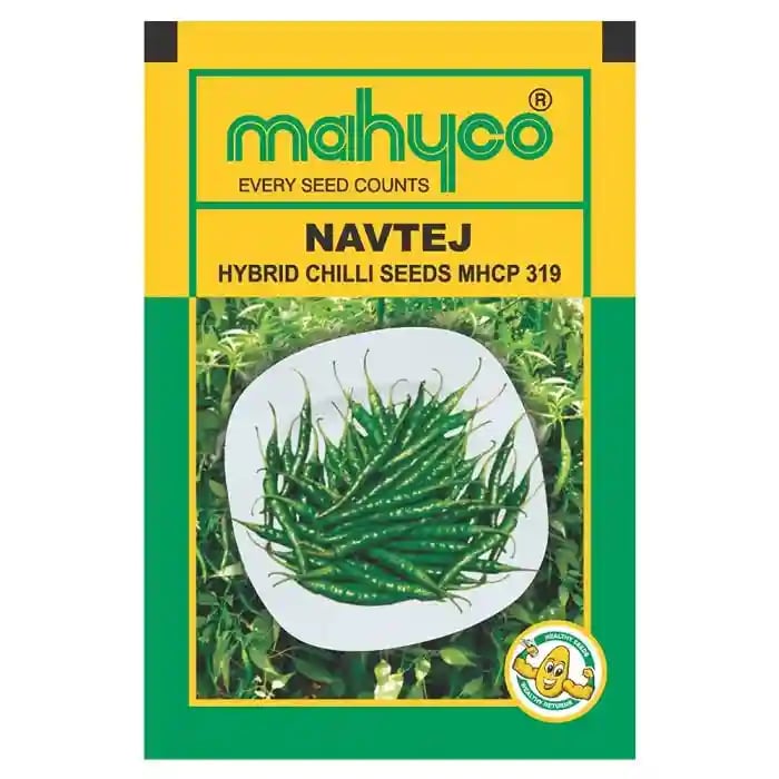 Mahyco MHCP 319 Navtej Hybrid Chilli Seeds, Medium to High Pungency and Dual Purpose Variety