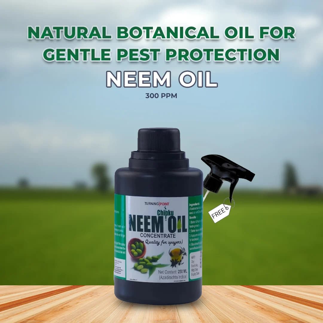 प्राकृतिक नीम ऑइल 300 पीपीएम।, साफ और गाढ़ा ठंडा दबाया हुआ, 100% जैविक और पानी में घुलनशील। बागवानी और कृषि उपयोग के लिए. - Image 2