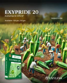 Exylon Exypride 20 Acetamiprid 20% SP Insecticide, Effective For Sucking Pest Control 2