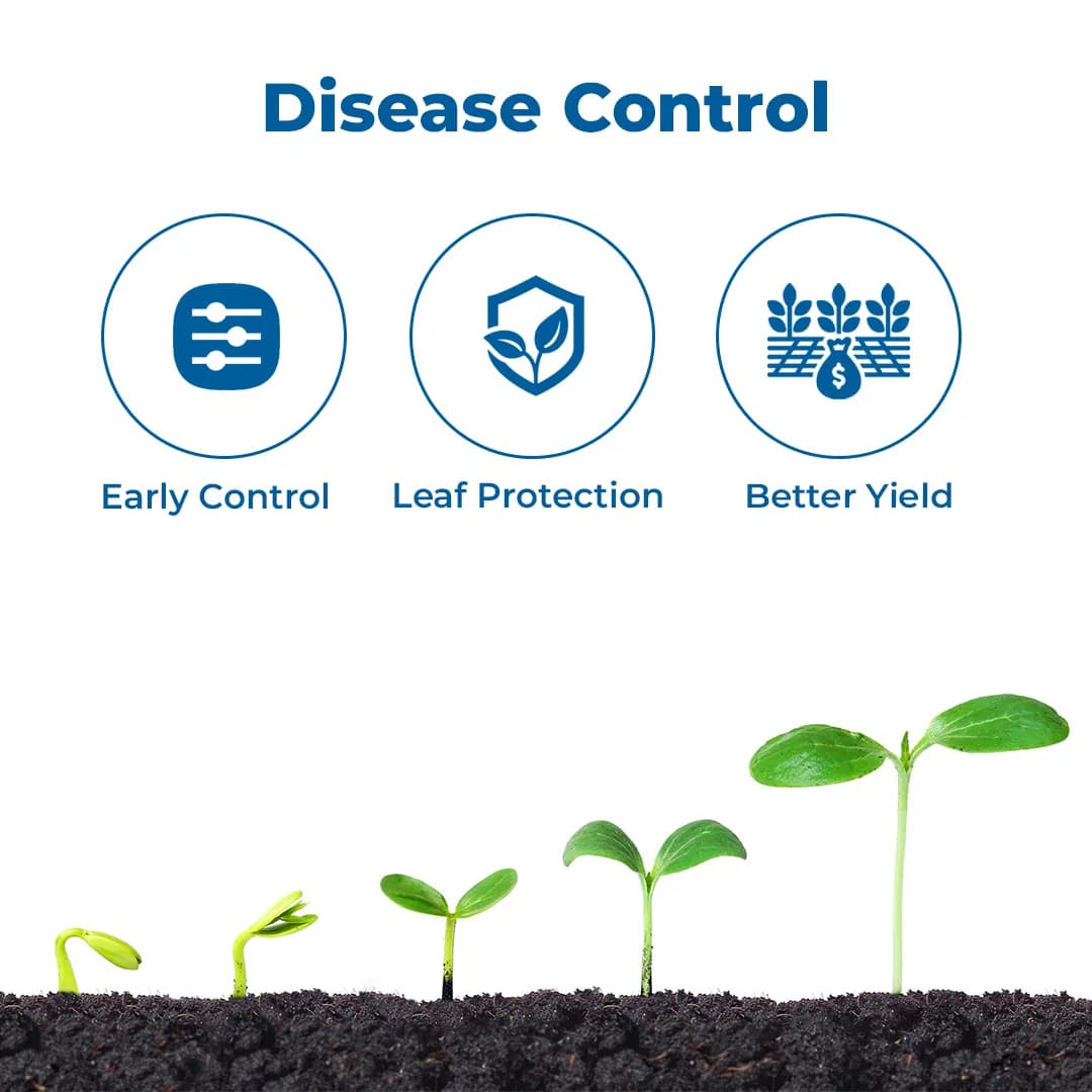 Exylon Protec Fungicide - Propiconazole 13.9% + Difenoconazole 13.9% EC - Image 3