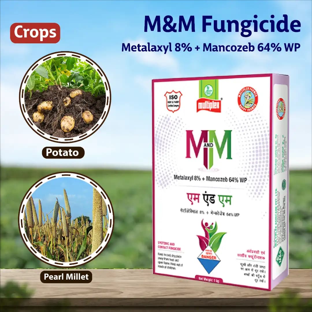Multiplex M And M Metalaxyl 8% + Mancozeb 64% WP Fungicide, Effective Broad-Spectrum Disease Control - Image 3