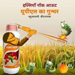 UPL Gunther Novaluron 5.25% + Emamectin Benzoate 0.9 % SC Insecticides, Best For Chilli. 7