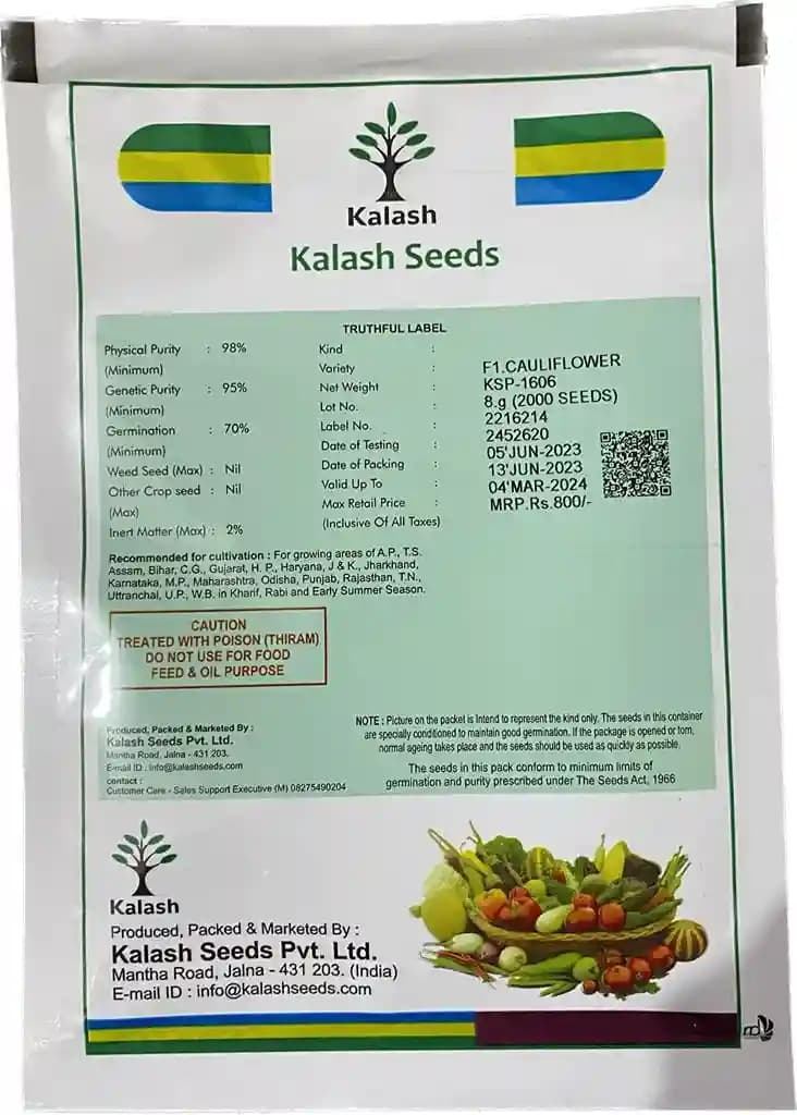 Kalash Cauliflower Seeds KSP 1606 (2000 Seeds) , Suitable For Kharif and Rabi Season - Image 2