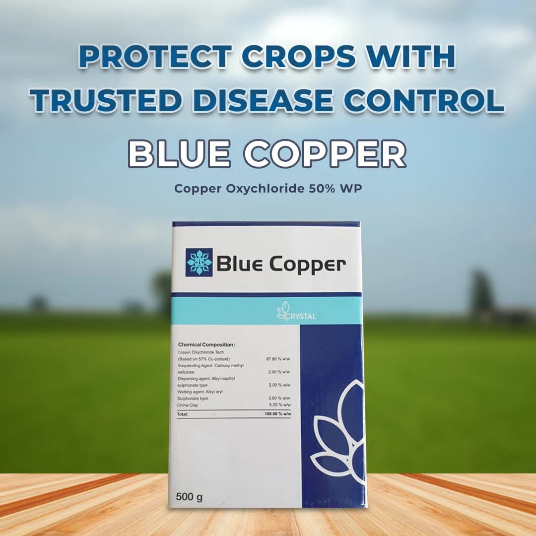 Crystal Blue Copper, Copper Oxychloride 50% WP Fungicide, Control Fungal, Bacterial Diseases By Its Contact Action - Image 2