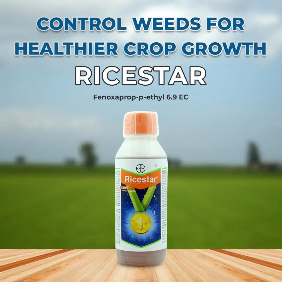 Bayer Ricestar Herbicide