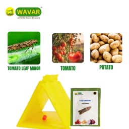WAVAR Tuta Absoluta Delta Trap, Effective For Tomato Leaf Miner Pest Control In Crops 4