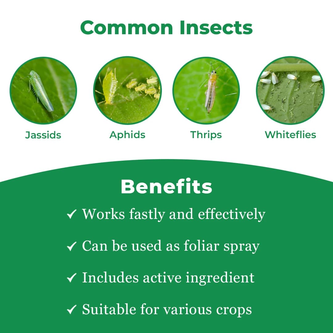 Bomba Super Insecticide - Imidacloprid 30.5% SC - Image 3