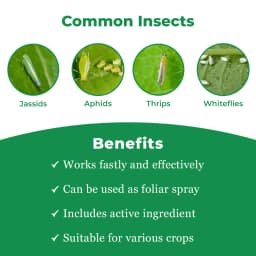 Bomba Super Insecticide - Imidacloprid 30.5% SC 3