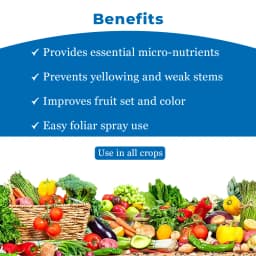 Compo Expert Fetrilon Combi 2 Micronutrient Fertilizers, For The Preventive And Curative Treatment, Foliar Application 4