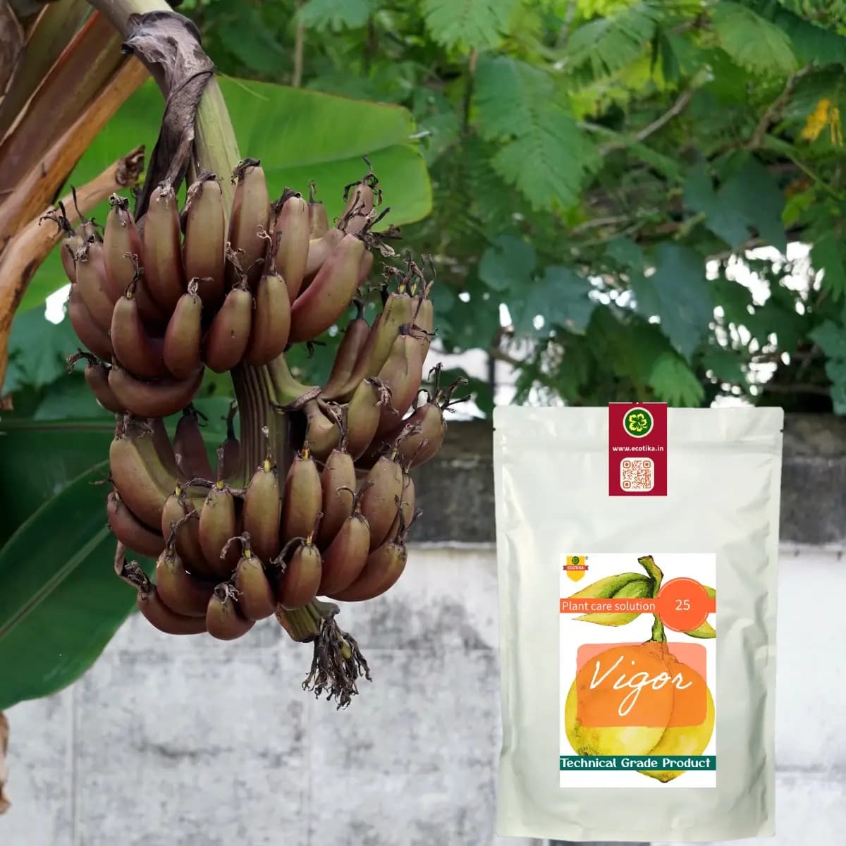 Ecotika Vigor Superhalite Polyhalite Fertilizer Suitable For Organic Farming And Gardening No Chloride Content - Image 3