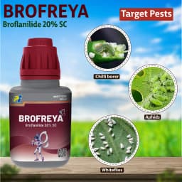 PI Brofreya Broflanilide 20% SC Mainly used for management of Lepidopteran & sucking pests 7