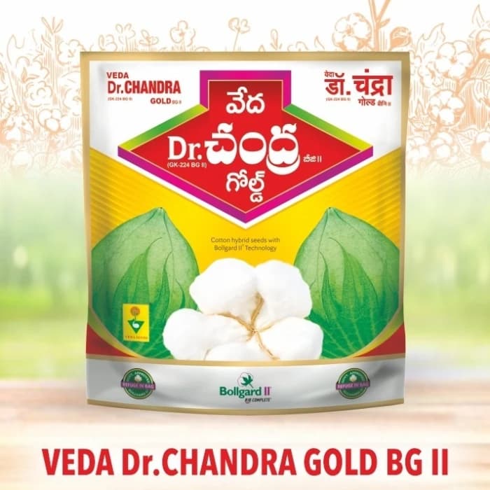 Veda Dr.Chandra Gold GK-224 BG-II Hybrid Cotton Seeds, Medium Crop Duration, Big Boll Size (475 Gm) - Image 2