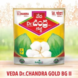 Veda Dr.Chandra Gold GK-224 BG-II Hybrid Cotton Seeds, Medium Crop Duration, Big Boll Size (475 Gm) 2
