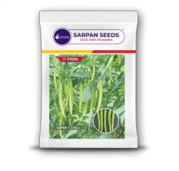 Sarpan F1 Hybrid 132 Chilli Seeds, Prolific Bearer with Yellow green and parrot green color 2